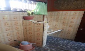 La salle de bains est pourvue d'un lavabo et d'une fenêtre avec une plante en pot. dans l'établissement Danasari Homestay, à Ubud