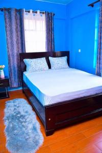 Schlafzimmer mit einem Bett mit einem Teppich und einem Fenster in der Unterkunft Cozier Domicile Apartments in Maragoli