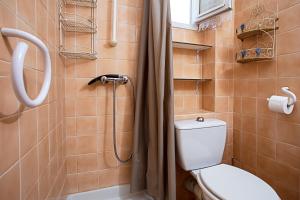 a bathroom with a toilet and a shower at Les Tulipes in Carqueiranne +12 photos