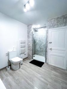 La salle de bains est pourvue de toilettes, d'une douche et d'une porte. dans l'établissement L'Ilot Secret - Fibre - Proche gare, à Châteauroux
