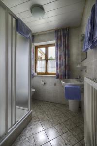 a bathroom with a shower and a sink and a toilet at Gästehaus Schmid Kondrau in Waldsassen
