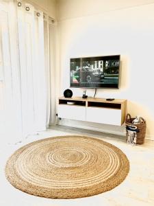 a living room with a television and a rug at Studio Residence Du Casino in Menton