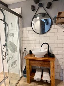 a bathroom with a sink and a mirror at Apartament Loftowy- Bory Tucholskie in Świekatowo