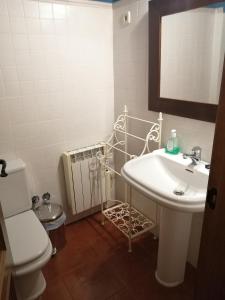 a bathroom with a sink and a toilet and a mirror at Caballito de Madera in Pelegrina