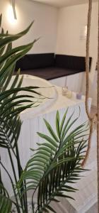 a plant sitting next to a white table at HomeSuite22 in Diamante