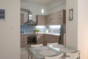 Kuchyň nebo kuchyňský kout v ubytování Amalthia Apartment Piraeus