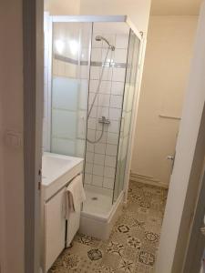 a bathroom with a shower and a toilet and a sink at Charmant studio avec place de parking in Nancy