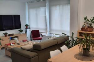 TV a/nebo společenská místnost v ubytování Soleado apartamento con garaje