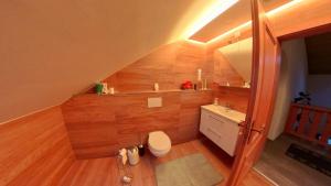 an attic bathroom with a toilet and a sink at Monteursunterkunft Egenhofen in Egenhofen