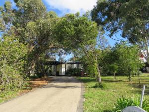 a driveway leading to a house with a tree overhead at Beach Cottage in Ventnor in Ventnor