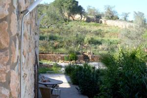 Zahrada ubytování Quinta do Cerro São Vicente + 22 fotografií