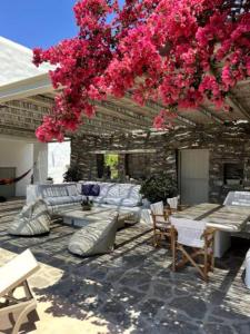 a patio with couches and a tree with pink flowers at Villa Gaia in Sarakíniko