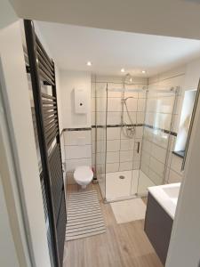 a bathroom with a shower and a toilet and a sink at Ferienhaus Wald&Wiese 