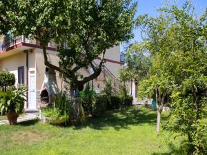 a house with a tree in the yard at A casa tua Ostia Antica in Ostia Antica