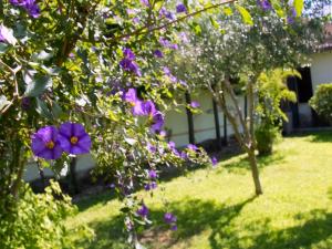 einen Garten mit lila Blumen und einem Baum in der Unterkunft A casa tua Ostia Antica in Ostia Antica