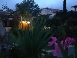 a view of a garden at night with flowers at A casa tua Ostia Antica in Ostia Antica