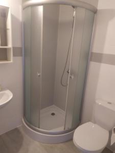 韋巴的住宿－Willa Aura，带淋浴和卫生间的浴室