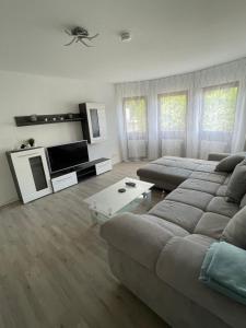 sala de estar con sofá y TV en Schöne 2-Zi-Whg, sehr gut ausgestattet, en Hemmingen
