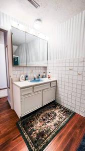 ein Badezimmer mit einem Waschbecken, einem Spiegel und einem Teppich in der Unterkunft Cozy Balcony apartment in Morningside in Sioux City