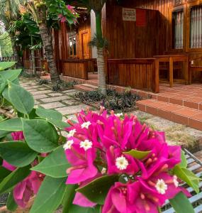 Ein paar rosa Blumen vor einem Gebäude in der Unterkunft Wooden style bungalow have kitchen in Phu Quoc