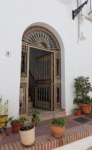 un accès à un bâtiment avec un portail et des plantes en pot dans l'établissement Apartamento Navas, à Frigiliana