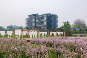 The View Chiang Dao外面的花园