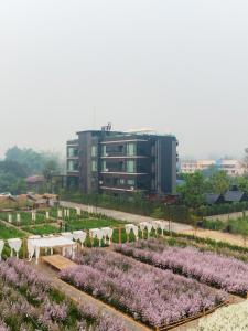 The View Chiang Dao外面的花园