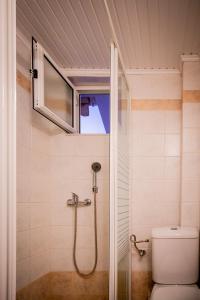 ein Bad mit einer Dusche und einem WC in der Unterkunft Yria ntn Studios in Vanáton