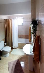 Koupelna v ubytování Giotouli Apartment