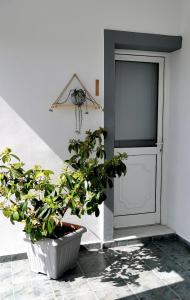 Zahrada ubytování Giotouli Apartment