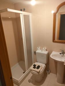 een badkamer met een douche, een toilet en een wastafel bij David corzo in Nogueira de Ramuin
