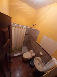 a bathroom with a toilet and a sink and a shower at Hotel Posada San Felipe in Antigua Guatemala