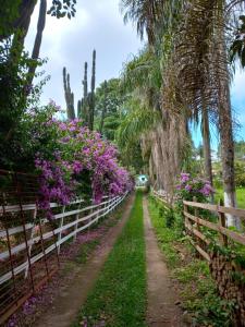 a path lined with flowers and a fence at Pousada Recanto Alegre in Campestre