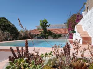 vistas a una piscina con cactus en Casa de las Bóvedas, en Rosal de la Frontera