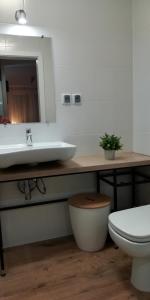 a bathroom with a sink and a toilet and a mirror at Apartament ZatokaPuck in Puck