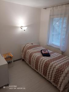 Gallery image of Nice and cozy 2 bedrooms apartment downtown Cluj-N in Cluj-Napoca
