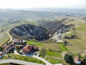 una vista aérea de un viñedo y una casa en una colina en Il Girasole Apartments, en Treiso