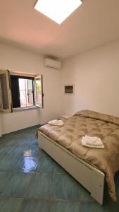 1 dormitorio con 1 cama y tragaluz en Villa Palinuro, en Palinuro