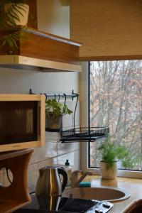 a kitchen with a counter with a microwave and a window at Parka apartamenti in Kuldīga