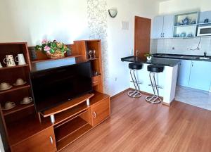 a living room with a television and a kitchen at Apartments Štokić in Rab