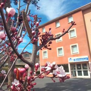 un arbre aux fleurs roses devant un bâtiment dans l'établissement Deltour Hotel Le Puy En Velay, au Puy-en-Velay