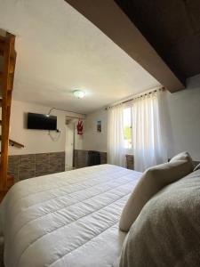 a bedroom with a large bed and a flat screen tv at El Nono in General Alvear