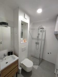 uma casa de banho com um WC, um lavatório e um chuveiro em The center of Split, renovated stone house em Split