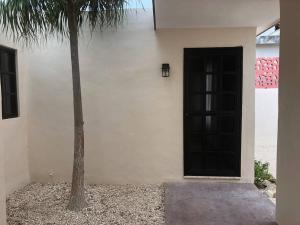 um edifício com uma porta preta e uma palmeira em Casa Coral in Progreso em Progreso