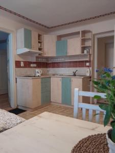 a kitchen with green and white cabinets and a table at Apartments Kájovská 63 in Český Krumlov