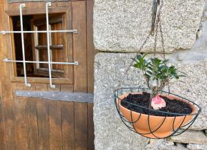 a plant in a pot next to a door at Moinho de Brião in Montalegre