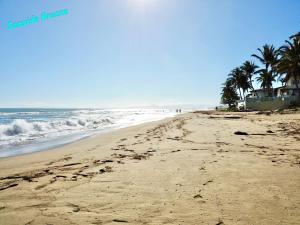 una playa de arena con palmeras y el océano en 3BR Seaside penthouse - Beach front, en Cabarete