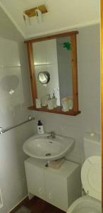 La salle de bains est pourvue d'un lavabo blanc et de toilettes. dans l'établissement Kuća za odmor Voćak, à Gornja Voća