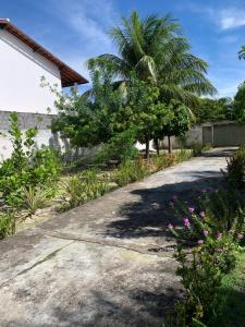 un camino que conduce a una casa con una palmera en Casa com piscina em Barra de Jacuípe BA, en Barra do Jacuípe