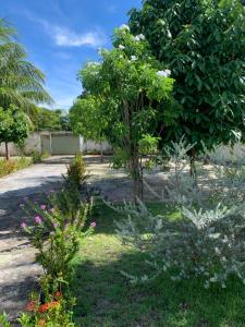 un jardín con árboles y flores en un patio en Casa com piscina em Barra de Jacuípe BA, en Barra do Jacuípe